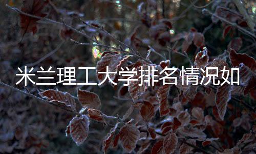 米兰理工大学排名情况如何?