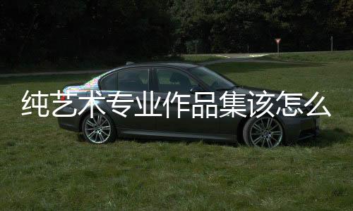 纯艺术专业作品集该怎么做?