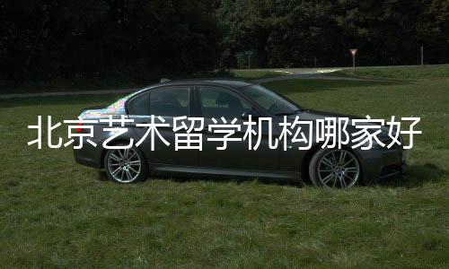 北京艺术留学机构哪家好?