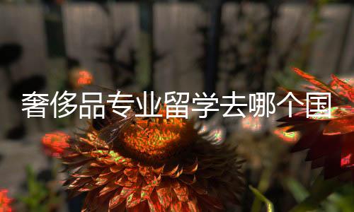 奢侈品专业留学去哪个国家好?