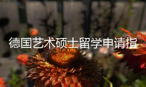 德国艺术硕士留学申请指南!