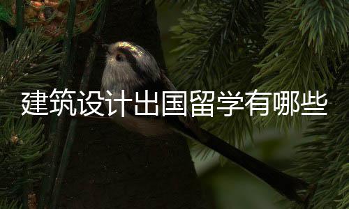 建筑设计出国留学有哪些优势?