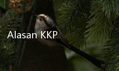 Alasan KKP Minta Hentikan Pembongkaran Pagar Laut Tangerang, Danlantamal III Pasang Badan