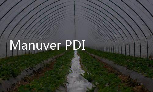 Manuver PDIP! Puan Maharani Bakal Berdialog dengan AHY, Koalisi?