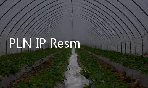 PLN IP Resmikan PLTS Terapung Muara Nusa Dua, Segini Kapasitasnya